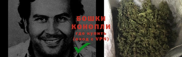 спайс Нея
