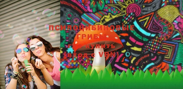 спайс Нея