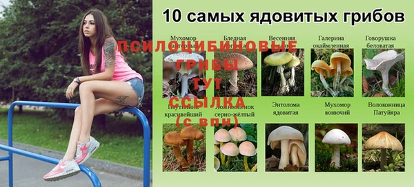 дмт Нефтегорск