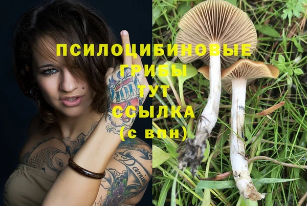 таблы Нефтекумск