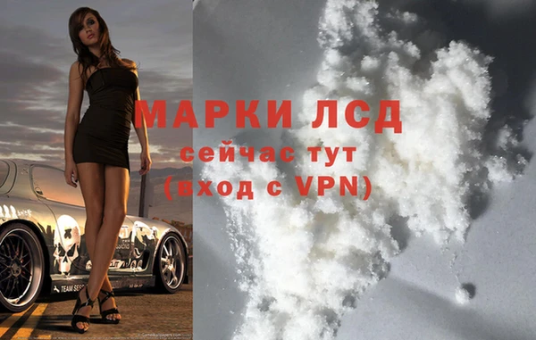 спайс Нея