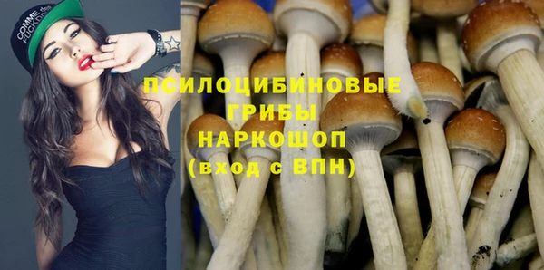 дмт Нефтегорск